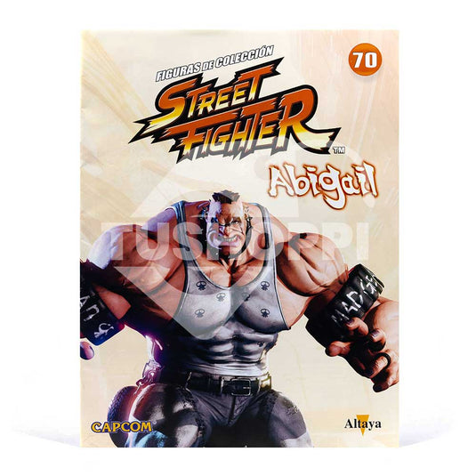 Street Fighter, Edición #70