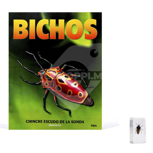 Bichos, Edición #45