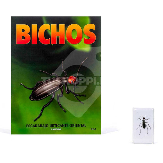 Bichos, Edición #43