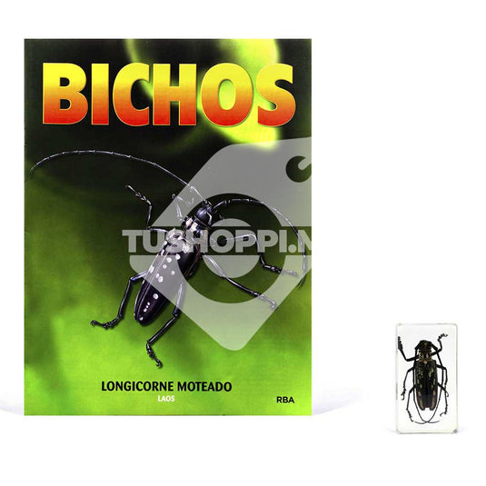 Bichos, Edición #51
