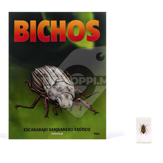 Bichos, Edición #47