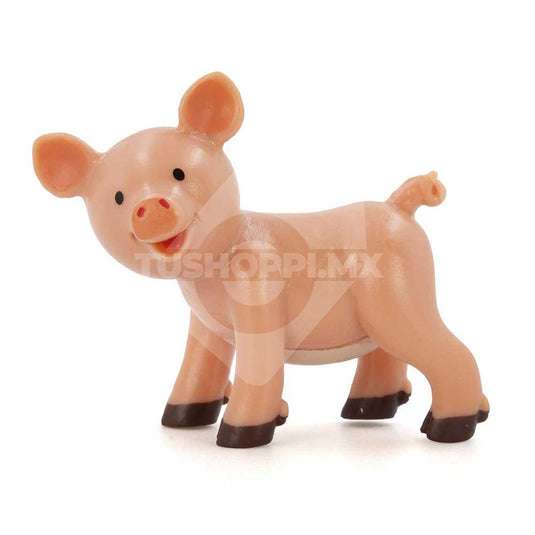 Animales Del Zoo, Edición #41