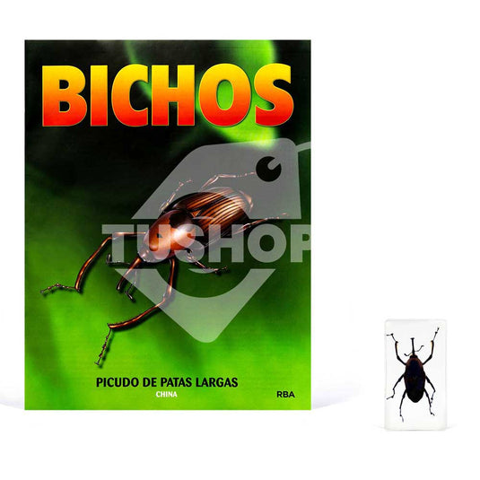 Bichos, Edición #44
