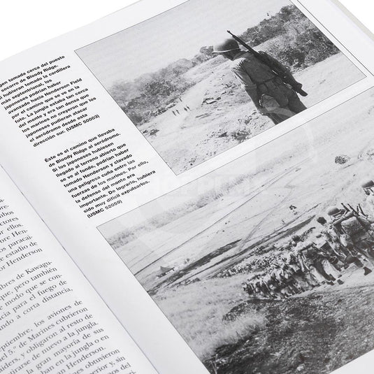 Biblioteca Osprey II Guerra Mundial, Edición #19