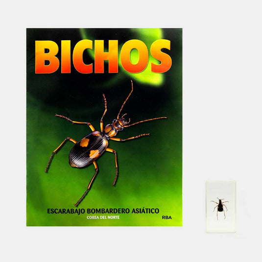 Bichos, Edición #58
