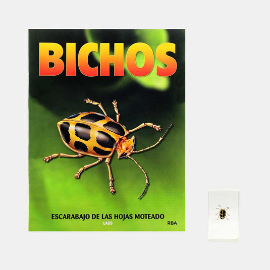 Bichos, Edición #64