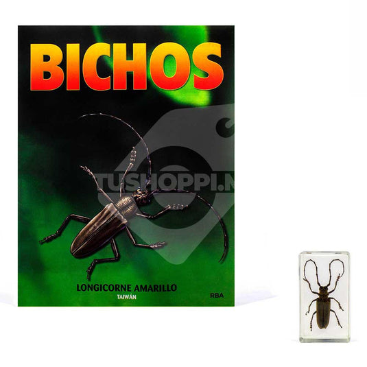 Bichos, Edición #41