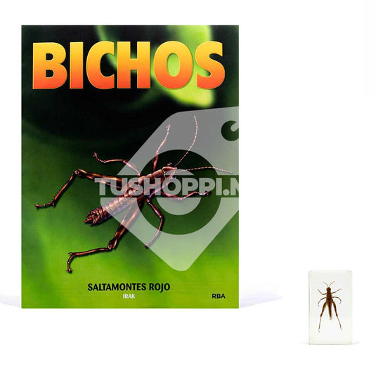 Bichos, Edición #55