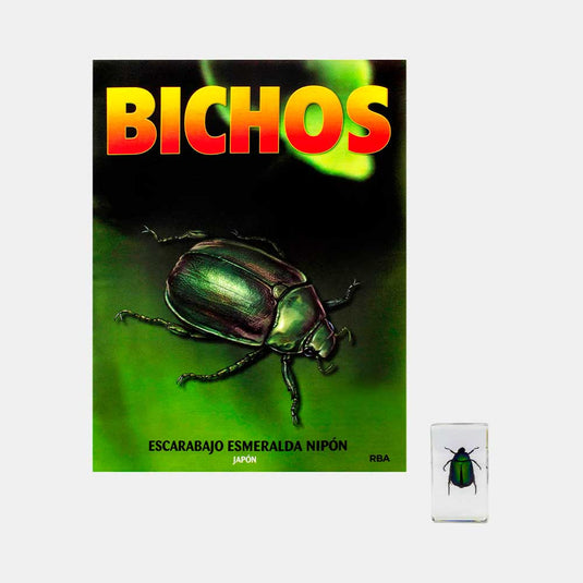 Bichos, Edición #68