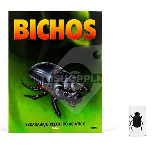 Bichos, Edición #40