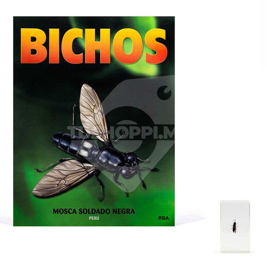 Bichos, Edición #42