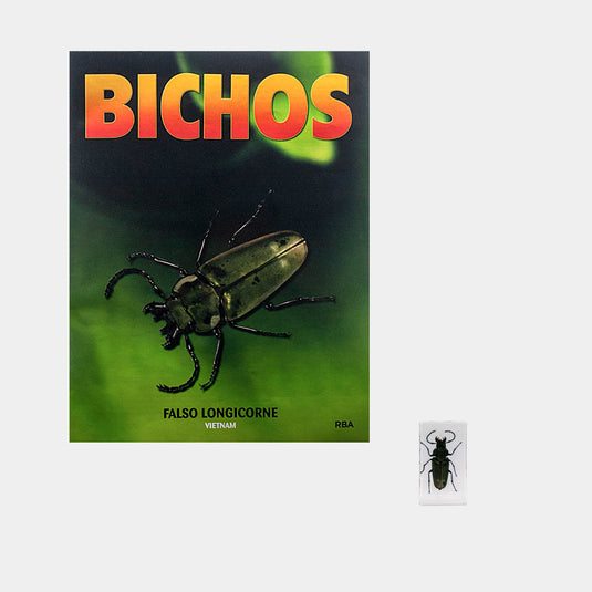 Bichos, Edición #73