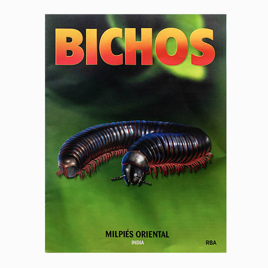 Bichos, Edición #80