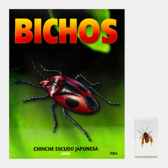 Bichos, Edición #83