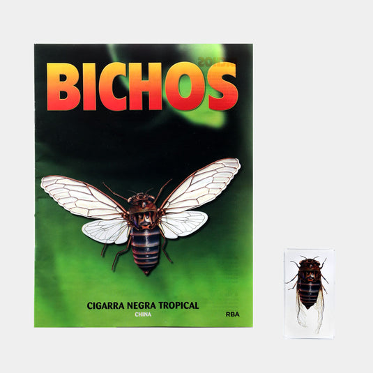 Bichos, Edición #69