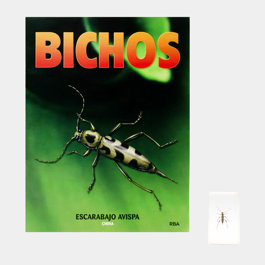 Bichos, Edición #75