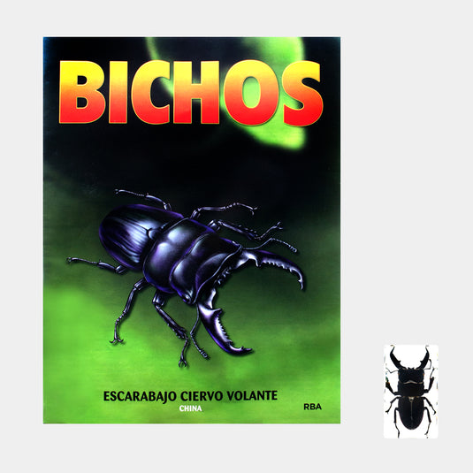 Bichos, Edición #82