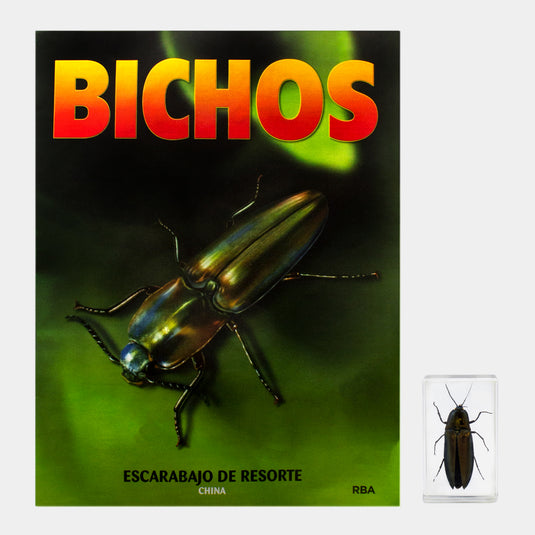 Bichos, Edición #81