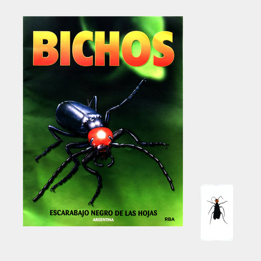 Bichos, Edición #78