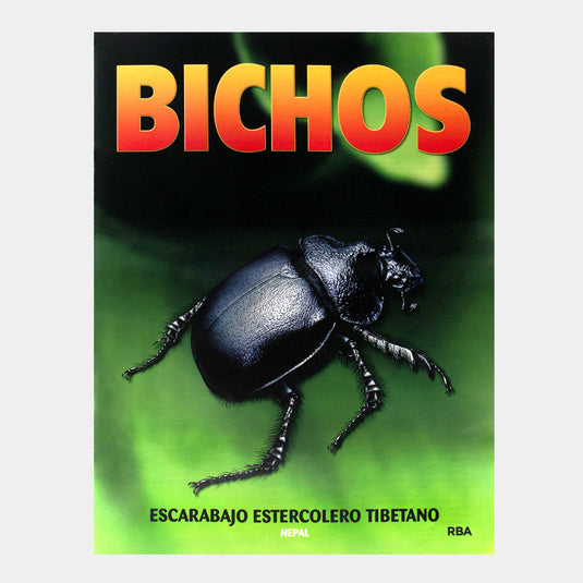 Bichos, Edición #74