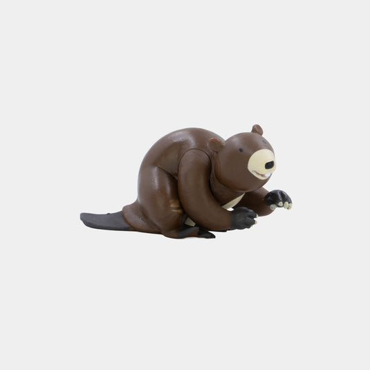 Animales Del Zoo, Edición #72