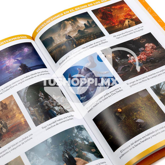 Videojuegos Legendarios, Edición #61
