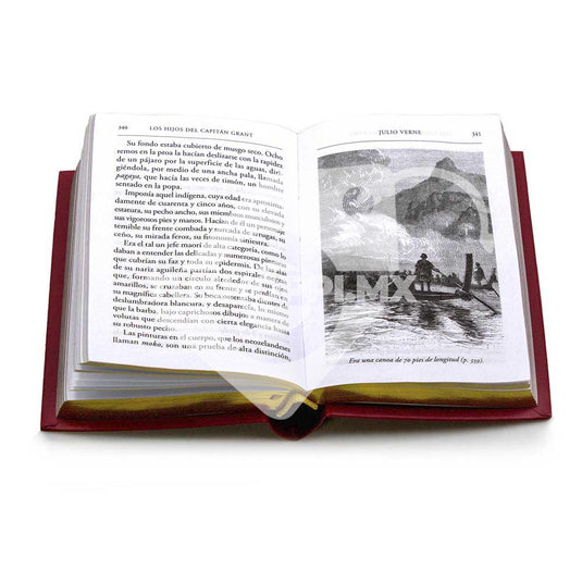 Mini Libros Julio Verne, Eidición #20