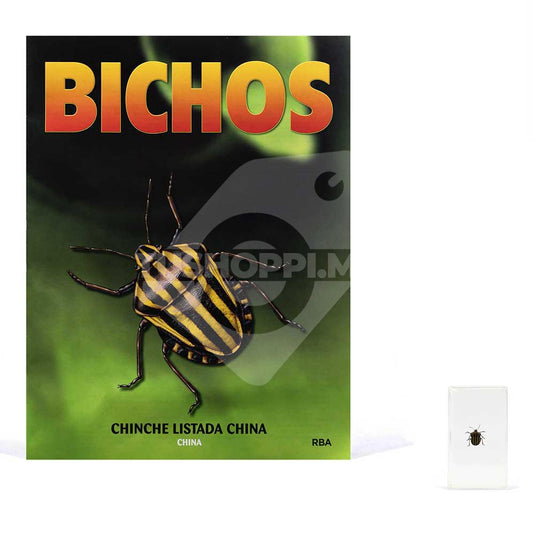 Bichos, Edición #49