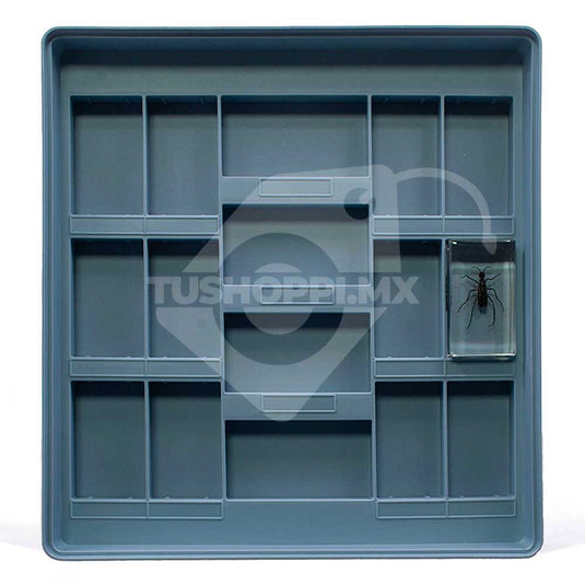 Bichos, Edición #43