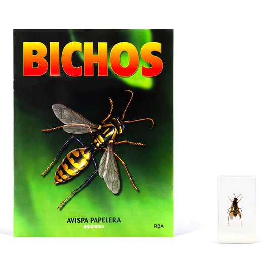 Bichos, Edición #25