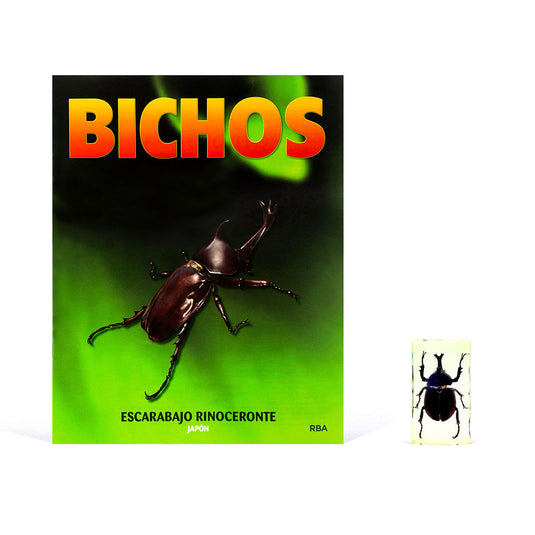 Bichos, Edición #6