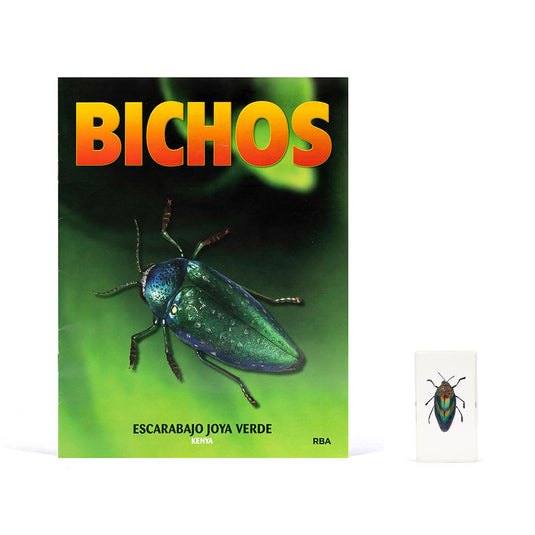 Bichos, Edición #4