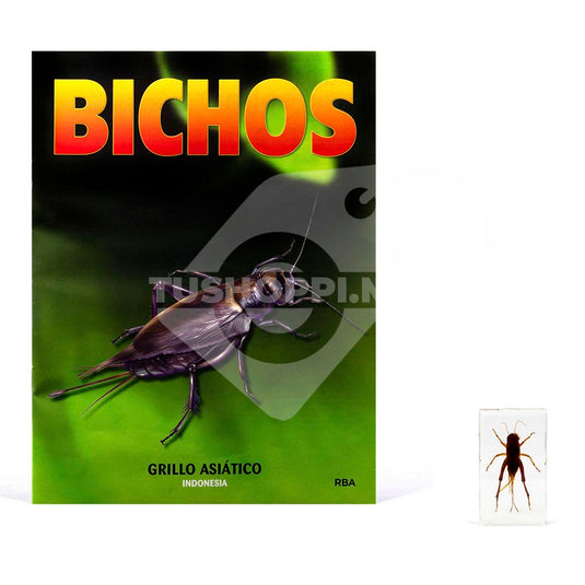 Bichos, Edición #30