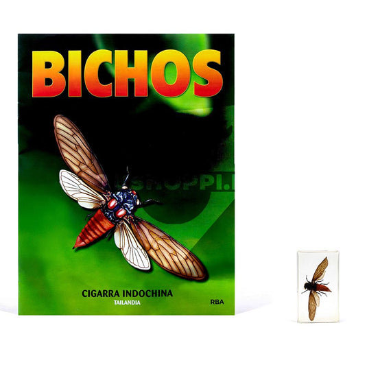 Bichos, Edición #28