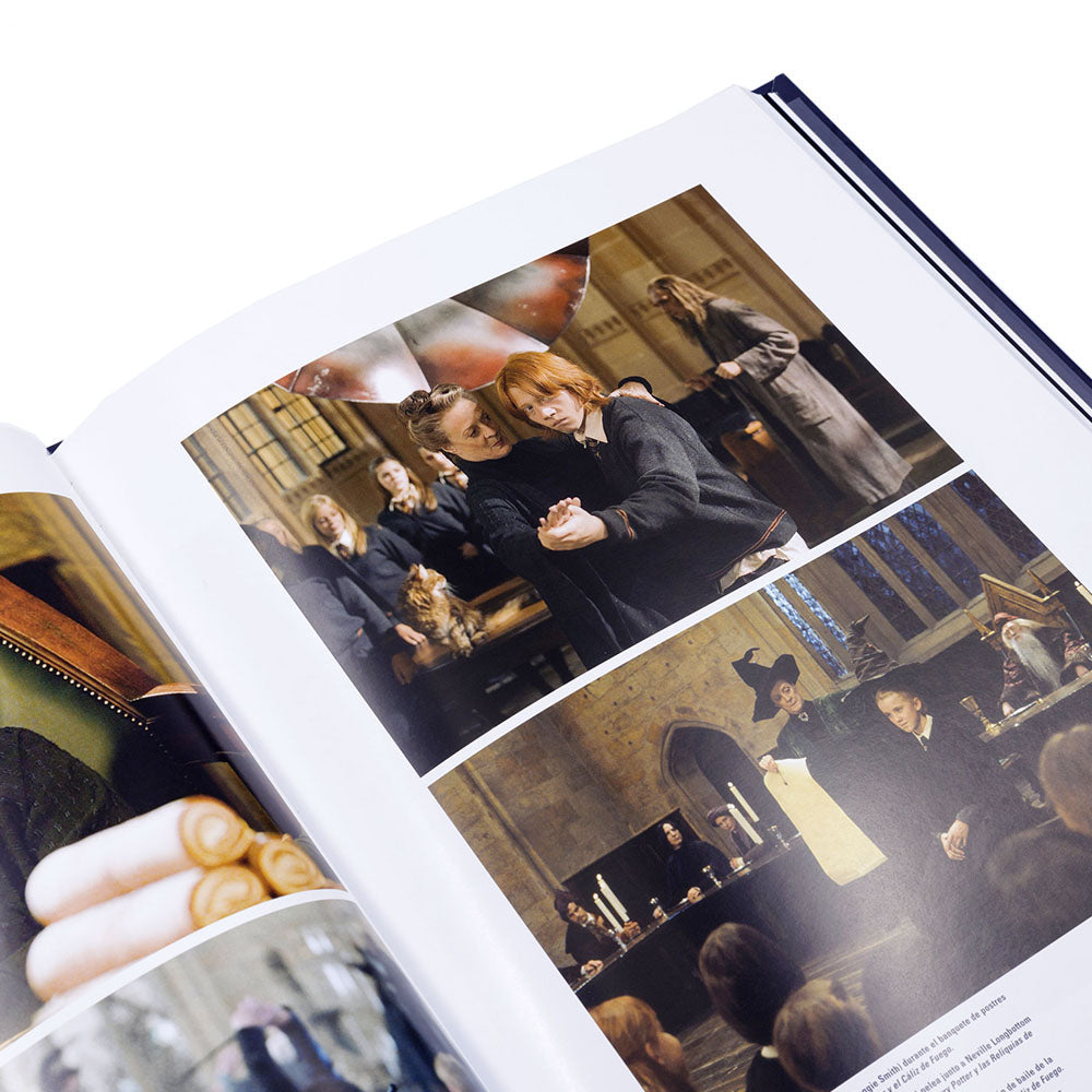 Harry Potter: Los Personajes del Mundo Fantástico (Venta Ollamani)