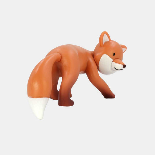 Animales Del Zoo, Edición #61