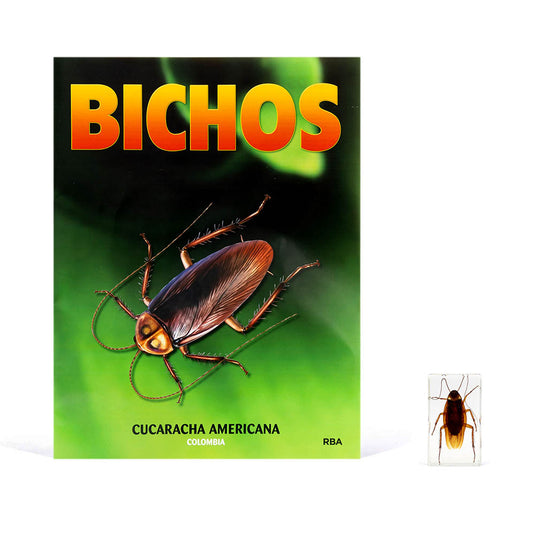 Bichos, Edición #11