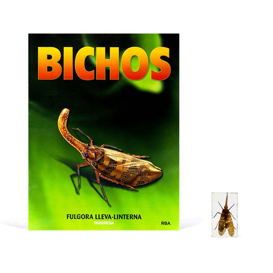 Bichos, Edición #13