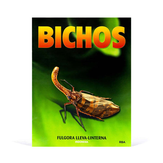 Bichos, Edición #13