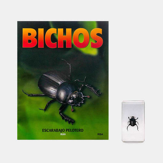Bichos, Edición #67