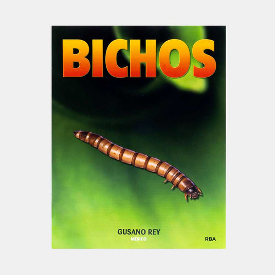 Bichos, Edición #62