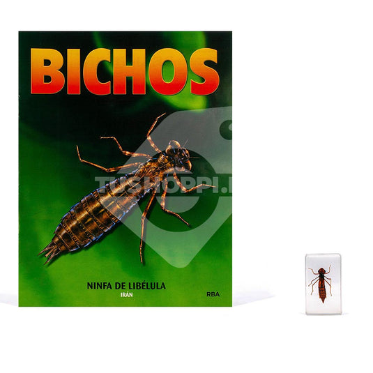 Bichos, Edición #31