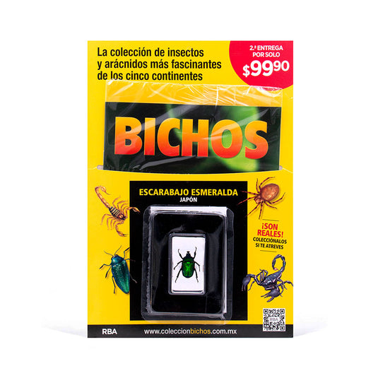 Bichos, Edición #2