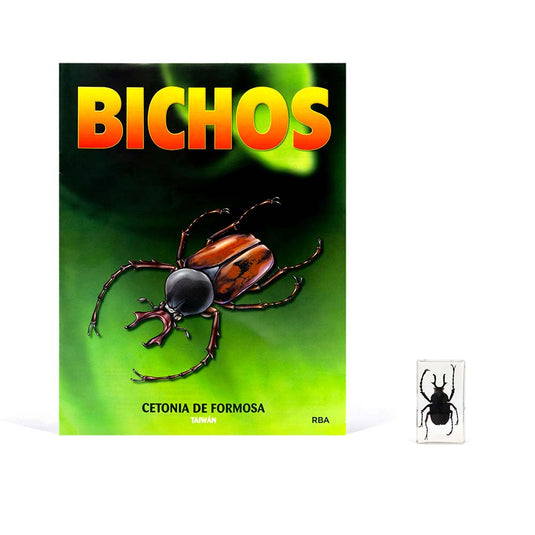 Bichos, Edición #12