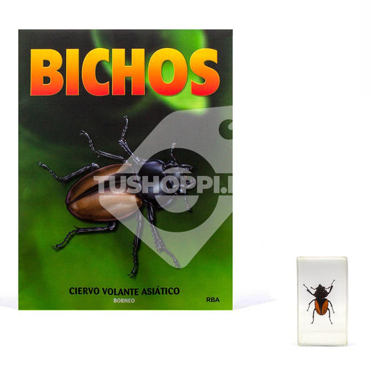 Bichos, Edición #33