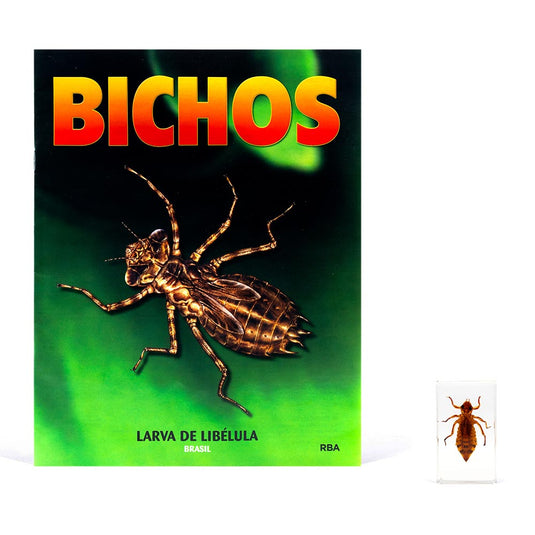 Bichos, Edición #23