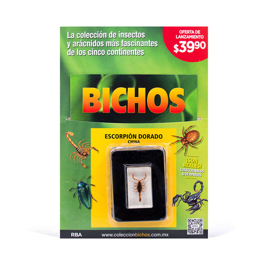 Bichos, Edición #1