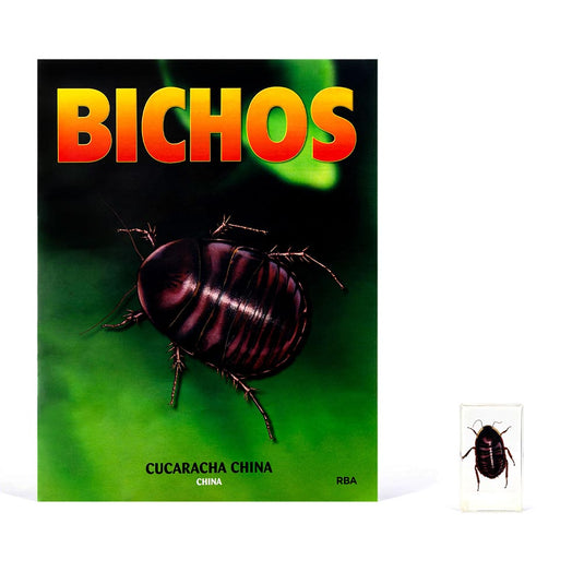 Bichos, Edición #21