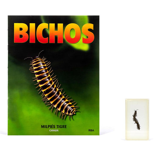 Bichos, Edición #29