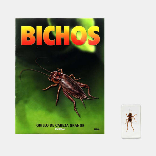 Bichos, Edición #65